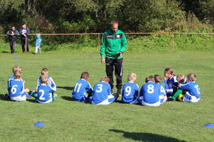 星空投注-德甲客场战术大公开，德甲打法